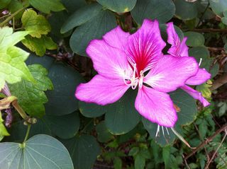 IMG_1865 IMG_1865