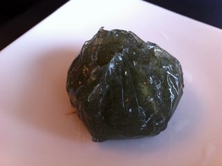 IMG_1534 IMG_1534