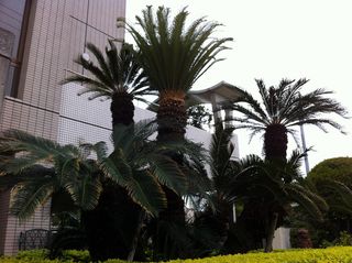 IMG_1866 IMG_1866