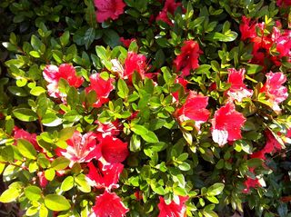 IMG_2271 IMG_2271