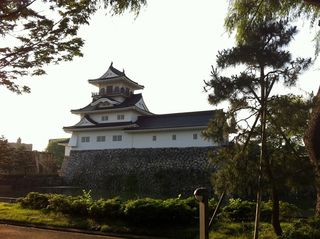 IMG_2372 IMG_2372