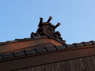 IMG_2392 IMG_2392