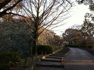 IMG_3190 IMG_3190