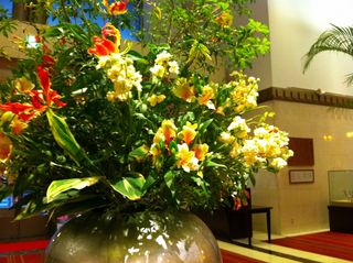 IMG_3278 IMG_3278