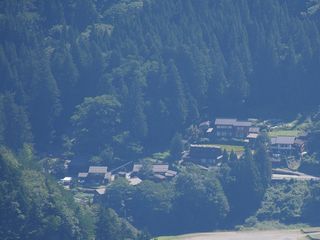 XP9090314 XP9090314