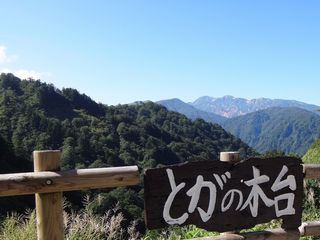 XDSC03242 XDSC03242
