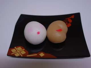 RIMG0007 RIMG0007