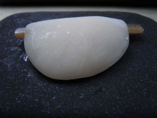 R5040410 R5040410
